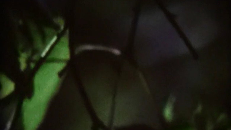 кадр из фильма くもわたるふねひとつ