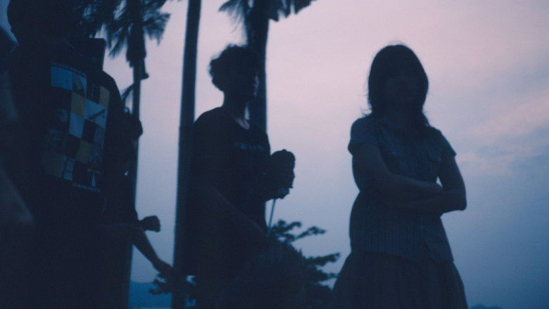 кадр из фильма Bottom Lotus In December