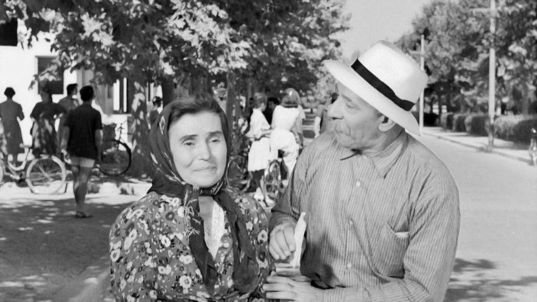 кадр из фильма Ποια Είναι Η Μαργαρίτα