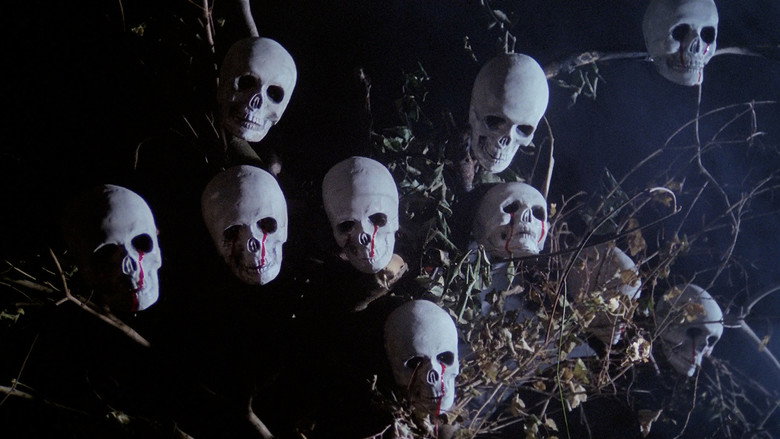 кадр из фильма Murder Obsession