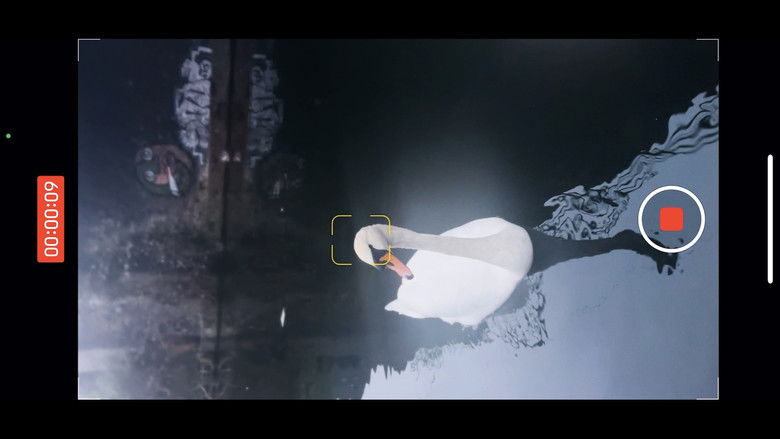 кадр из фильма Dremboat