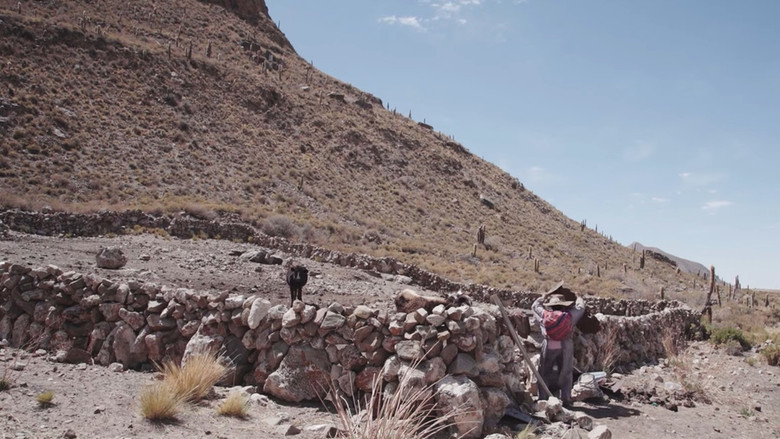 кадр из фильма Agua para la vida. La lucha de Ayllu San Agustín de Puñaca