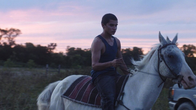 кадр из фильма Песни, которым меня научили братья