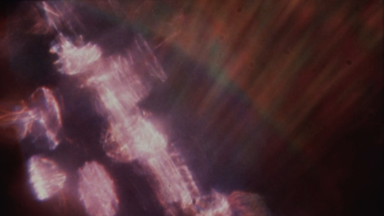 кадр из фильма Threnody