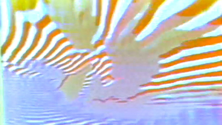 кадр из фильма Feedback Stroboscopy