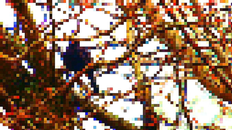 кадр из фильма Super Vario Birds