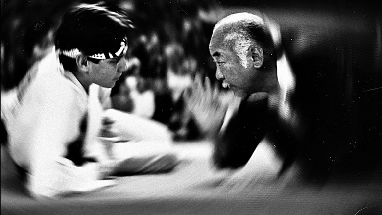 кадр из фильма Парень-каратист