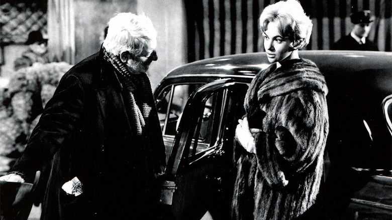 кадр из фильма Бродяга Архимед