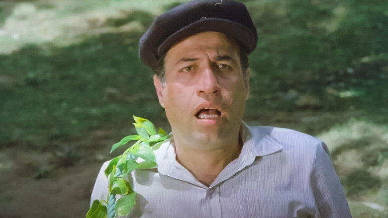 кадр из фильма Tarzan Rıfkı