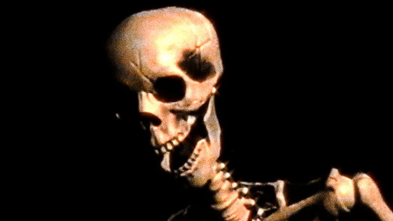 кадр из фильма Sword of the Nightingale