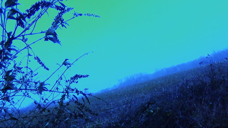 кадр из фильма (mavi)(e)