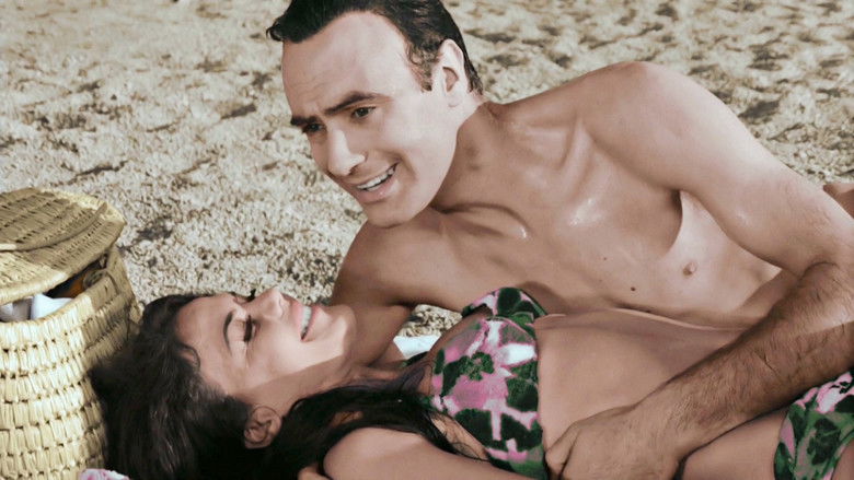 кадр из фильма Ο σπαγγοραμένος