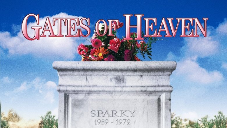 кадр из фильма Gates of Heaven