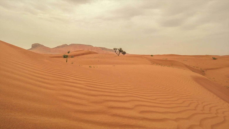 кадр из фильма Dubaj, az olajban született oázis