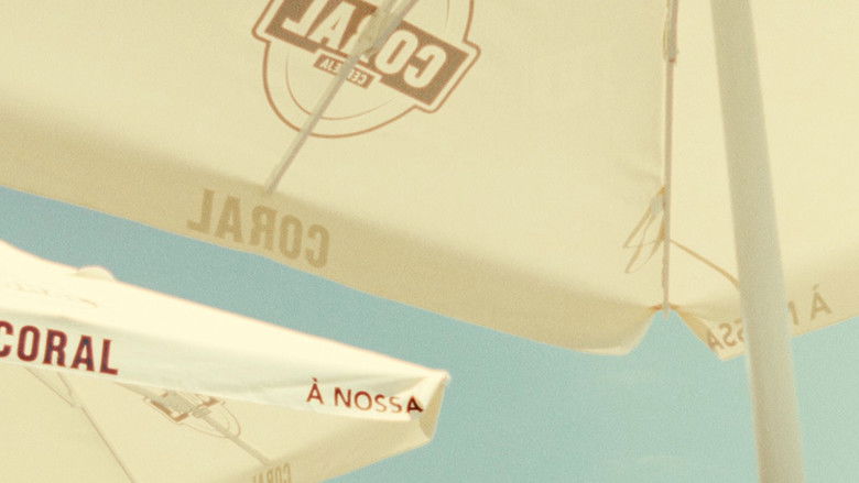 Madeira Island. Portugal