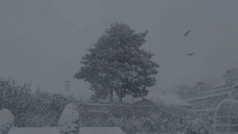 кадр из фильма 하코다테에서 안녕