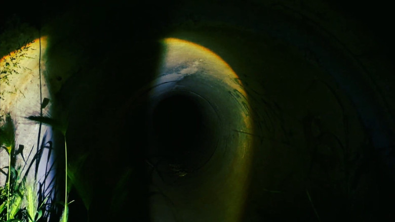 кадр из фильма shadows scare me