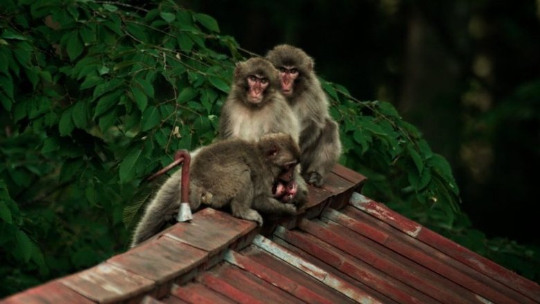 кадр из фильма Wild Tokyo