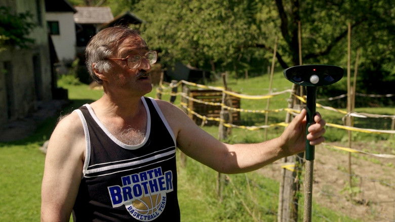 кадр из фильма The Wire