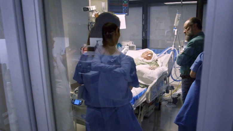 Katie's New Face: A Family's Journey