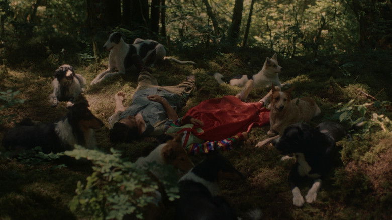 кадр из фильма Mongrels