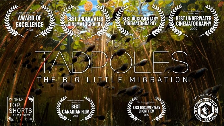 кадр из фильма Tadpoles: The Big Little Migration