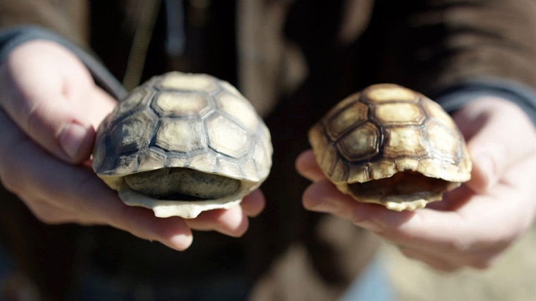 кадр из фильма Eco-Hack!