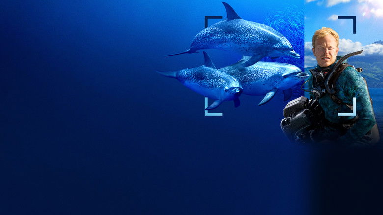 кадр из фильма В мире дельфинов с Берти Грегори