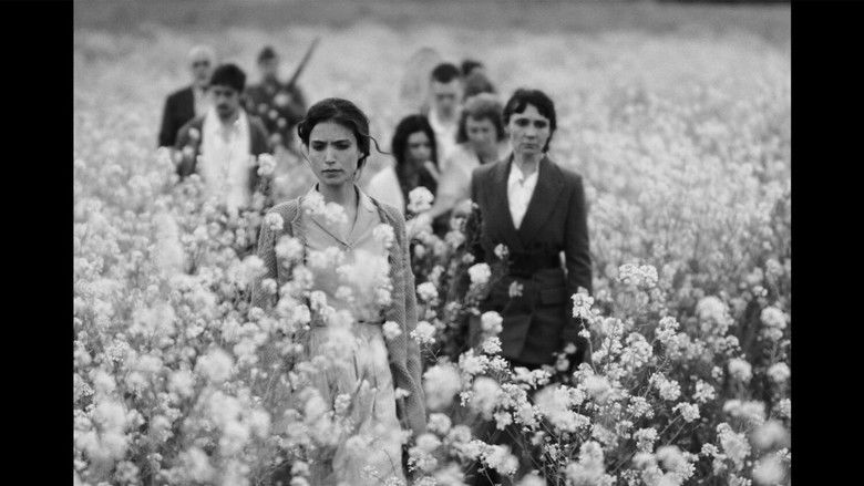 кадр из фильма Semillas