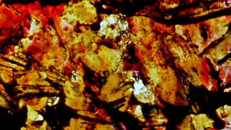 кадр из фильма Lovesong