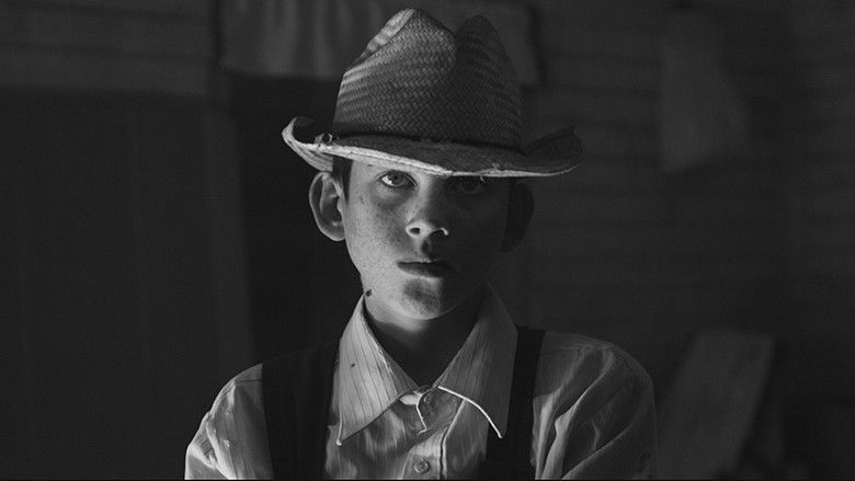 кадр из фильма Саламанка