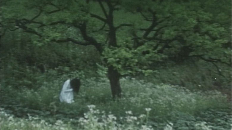 кадр из фильма EMOTION 伝説の午後＝いつか見たドラキュラ