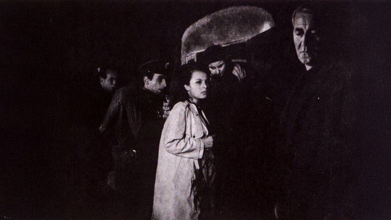 кадр из фильма İntikam Ateşi