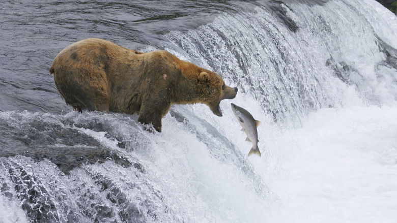 кадр из фильма Музыкальная карта Америки