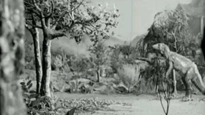 Along the Moonbeam Trail