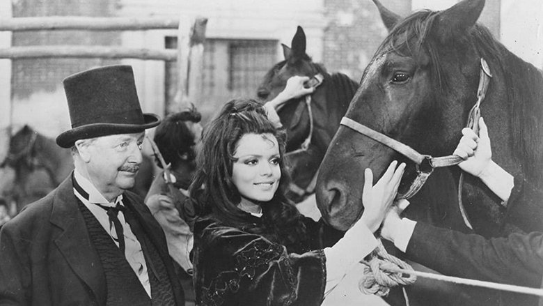 Чёрный Красавчик