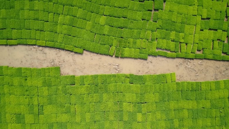 кадр из фильма 물의 기억