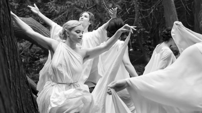 кадр из фильма Молчаливый друг