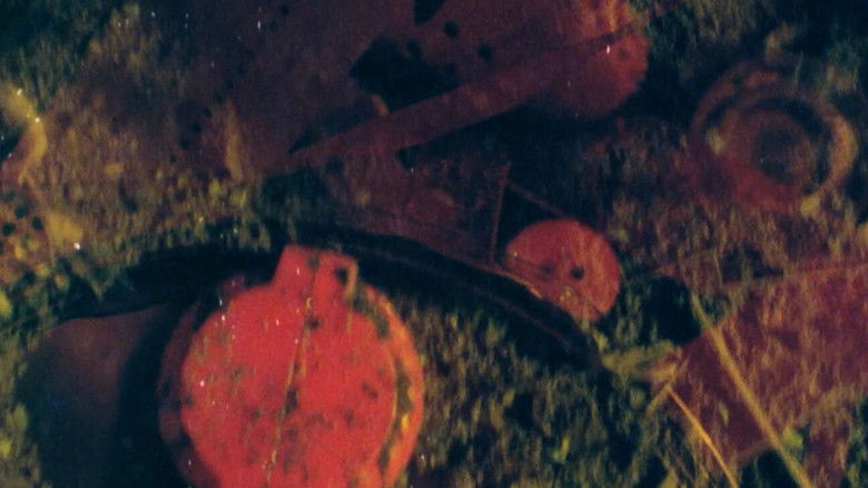 кадр из фильма DETRITUS