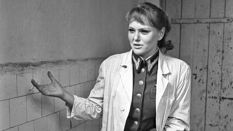 кадр из фильма Девичий заговор