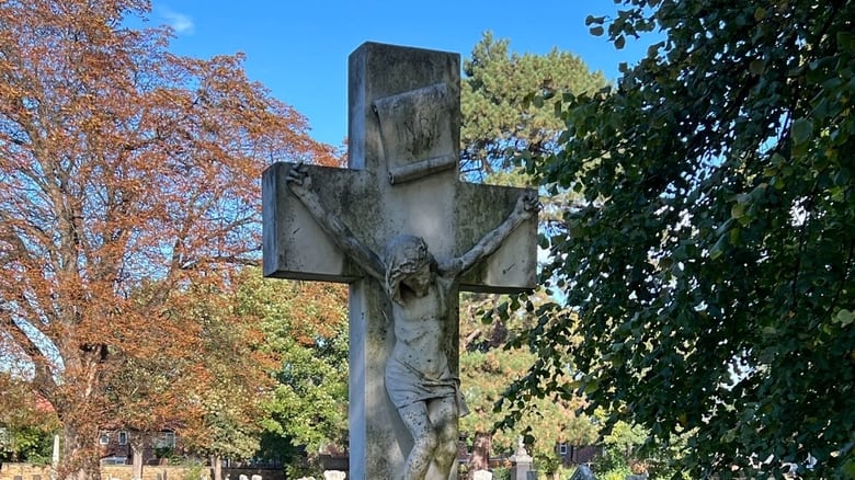 кадр из фильма Dead to the World