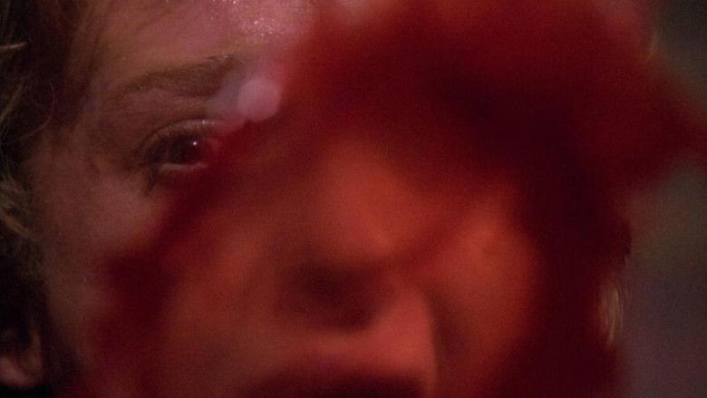 кадр из фильма La casa delle anime erranti