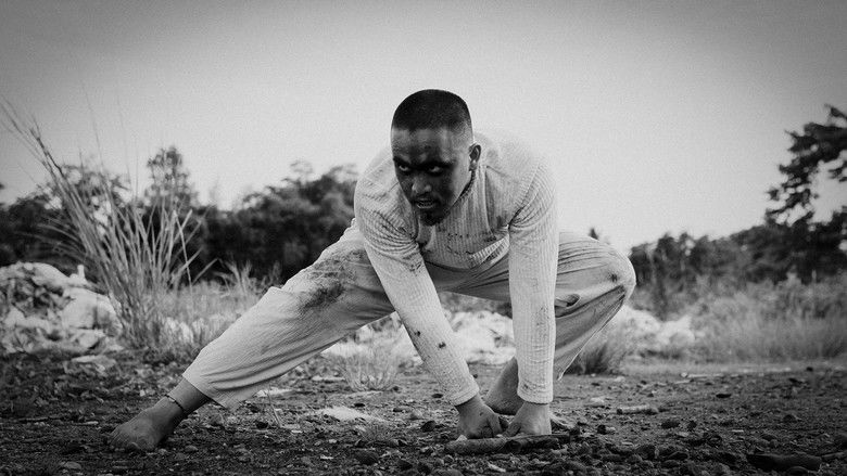 кадр из фильма Seven Monkeys