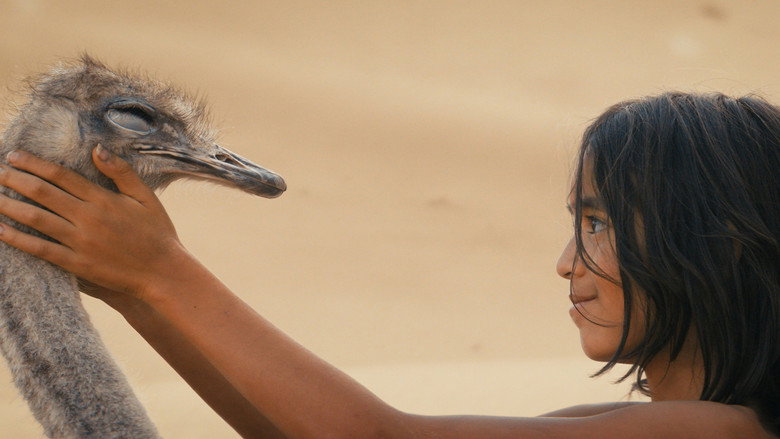 кадр из фильма Мальчик и лис