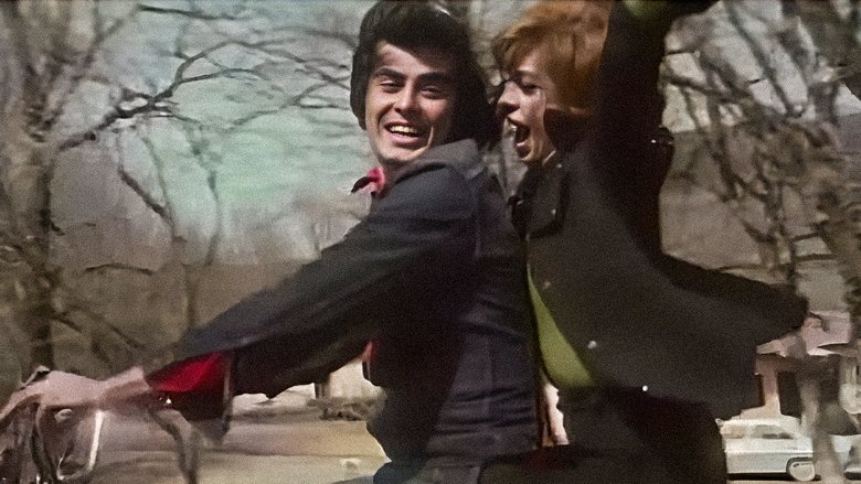 кадр из фильма Boşver Arkadaş