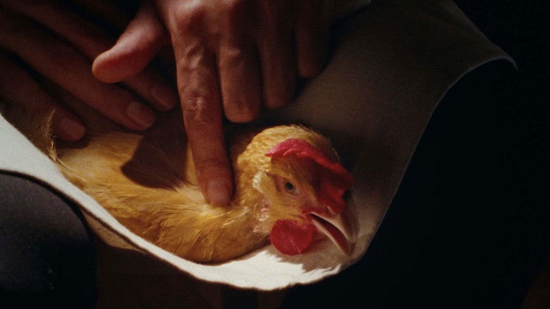 кадр из фильма The Chicken
