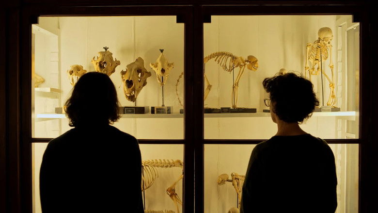 кадр из фильма Rosinha e Outros Bichos do Mato