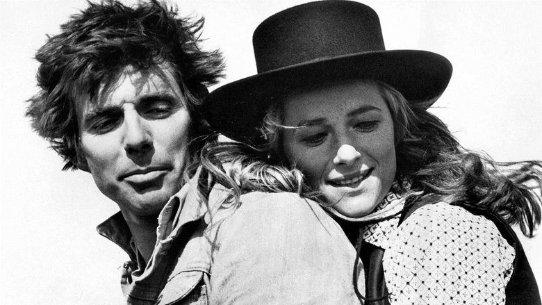 кадр из фильма Caravan to Vaccarès