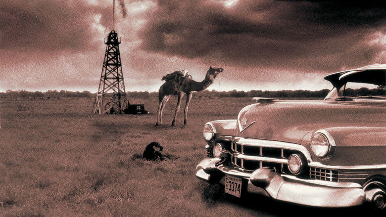 кадр из фильма Похороны в Техасе