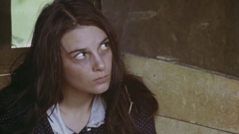 кадр из фильма Братушка